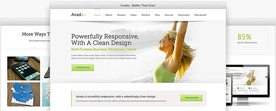 Avada Theme Image